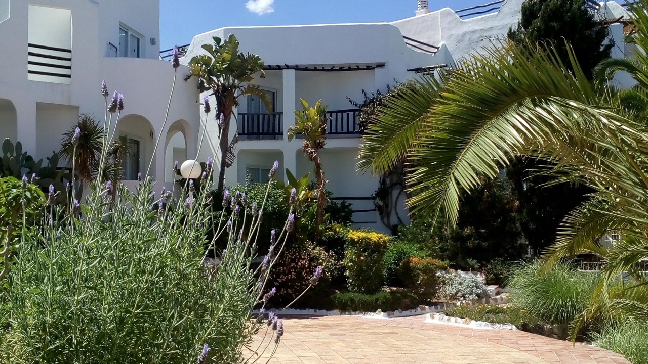 Photo of Outdoor in Siesta