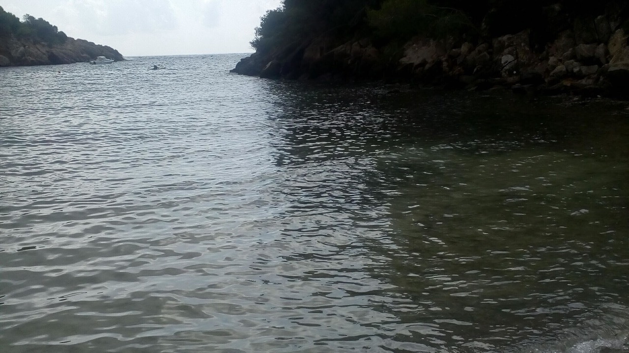 Photo of Others in Siesta