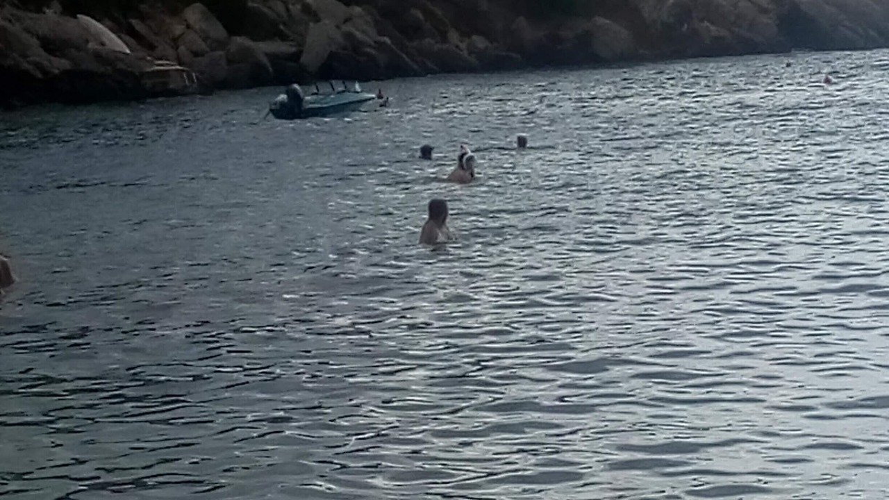 Photo of Others in Siesta