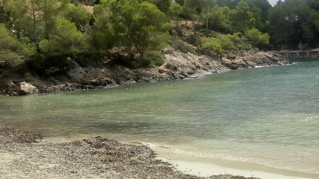 Photo of Others in Siesta