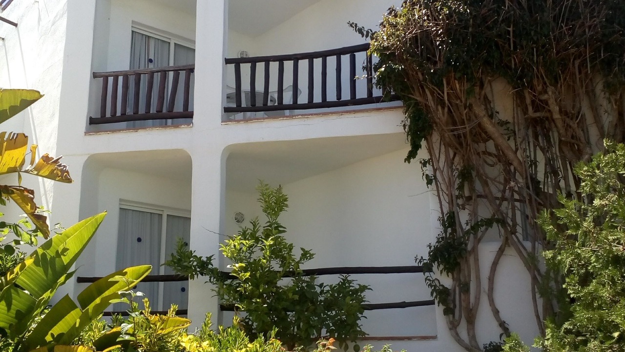 Photo of Outdoor in Siesta