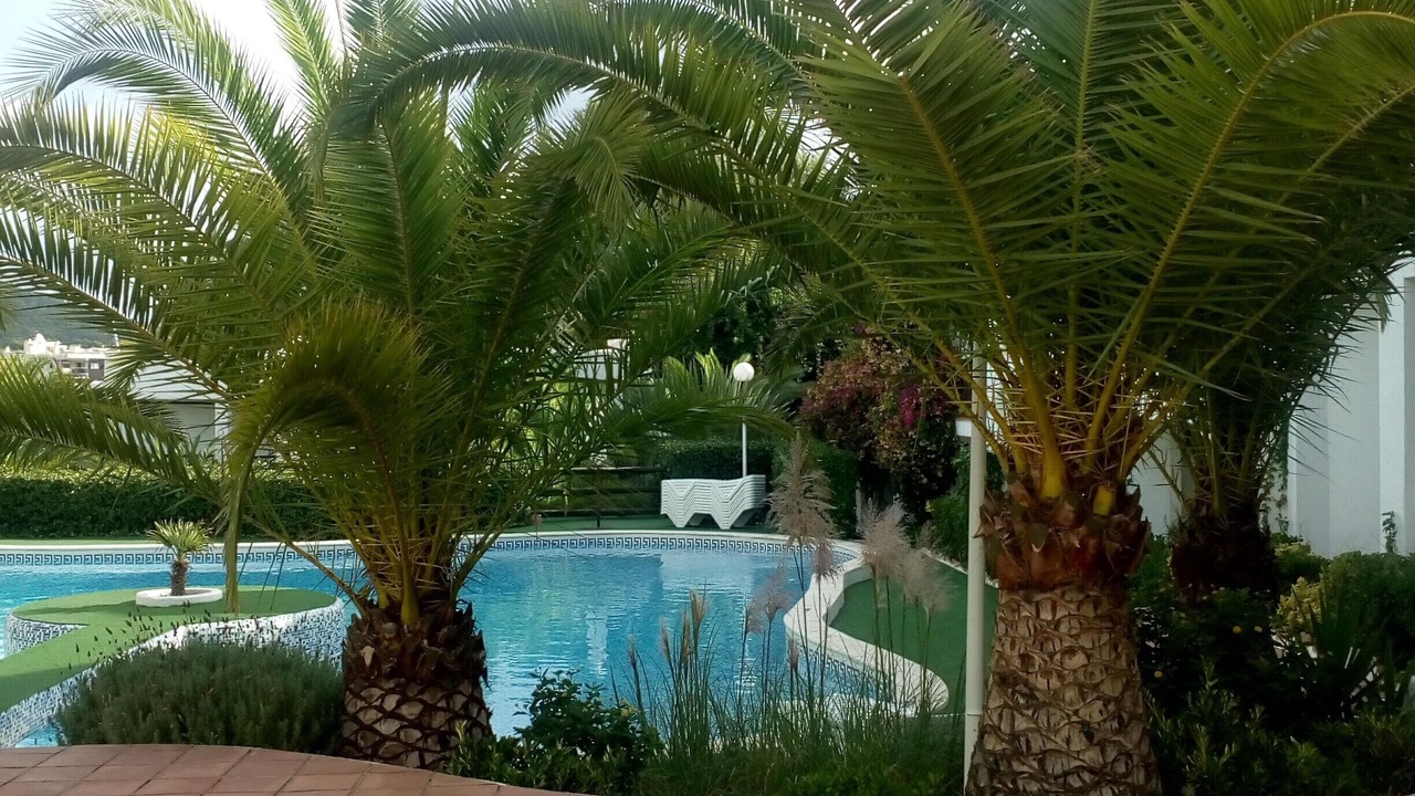 Photo of Outdoor in Siesta