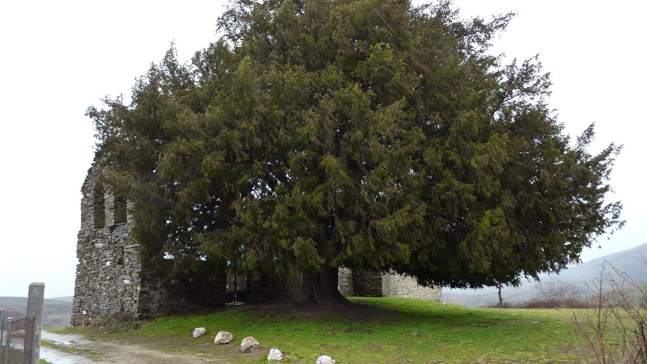Photo of Outdoor in San Cristobal de Valdueza