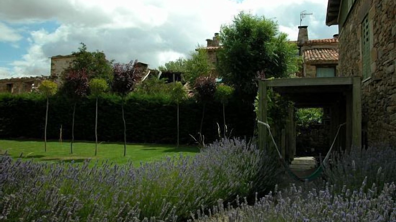 Photo of Outdoor in Almarza