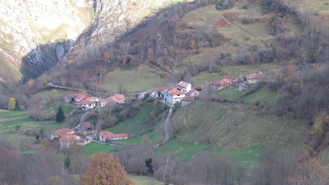 Photo of Outdoor in Ponga