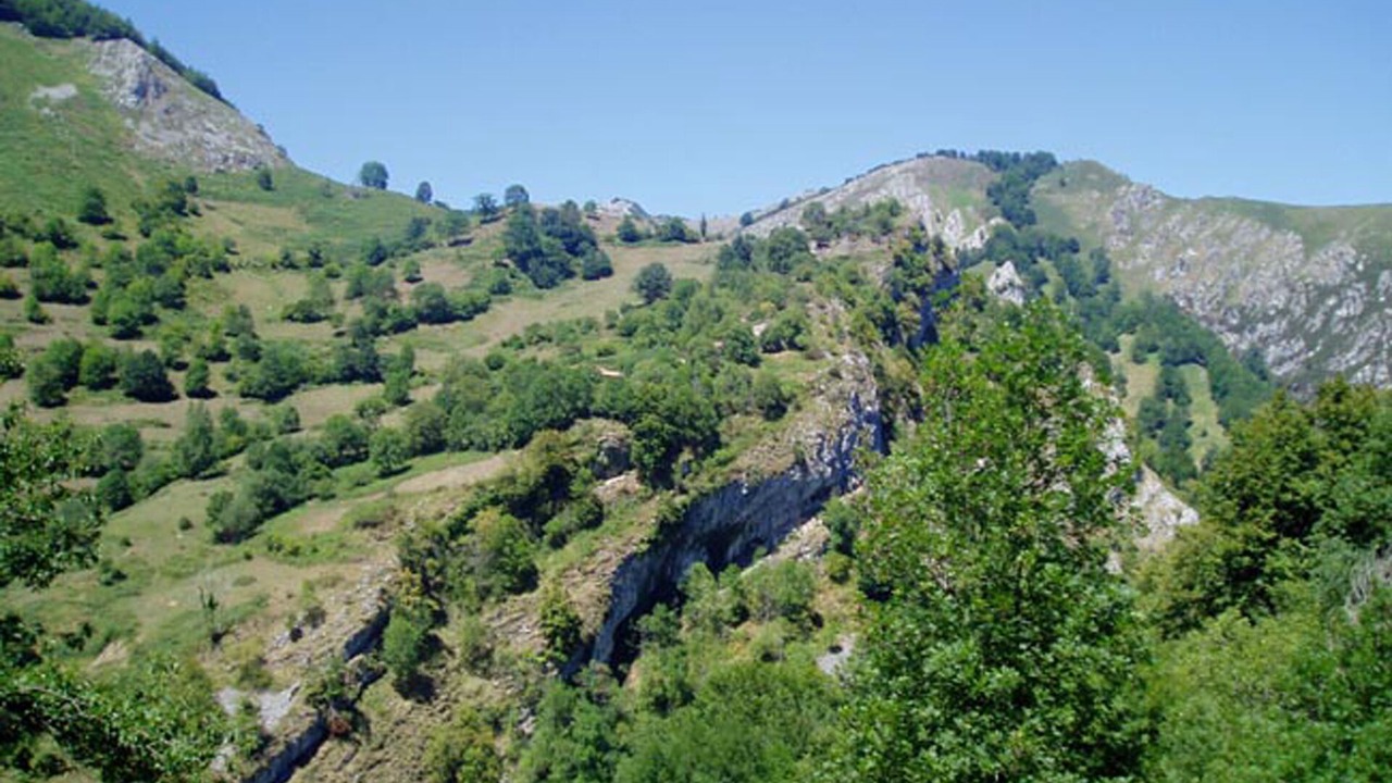 Photo of Outdoor in Ponga