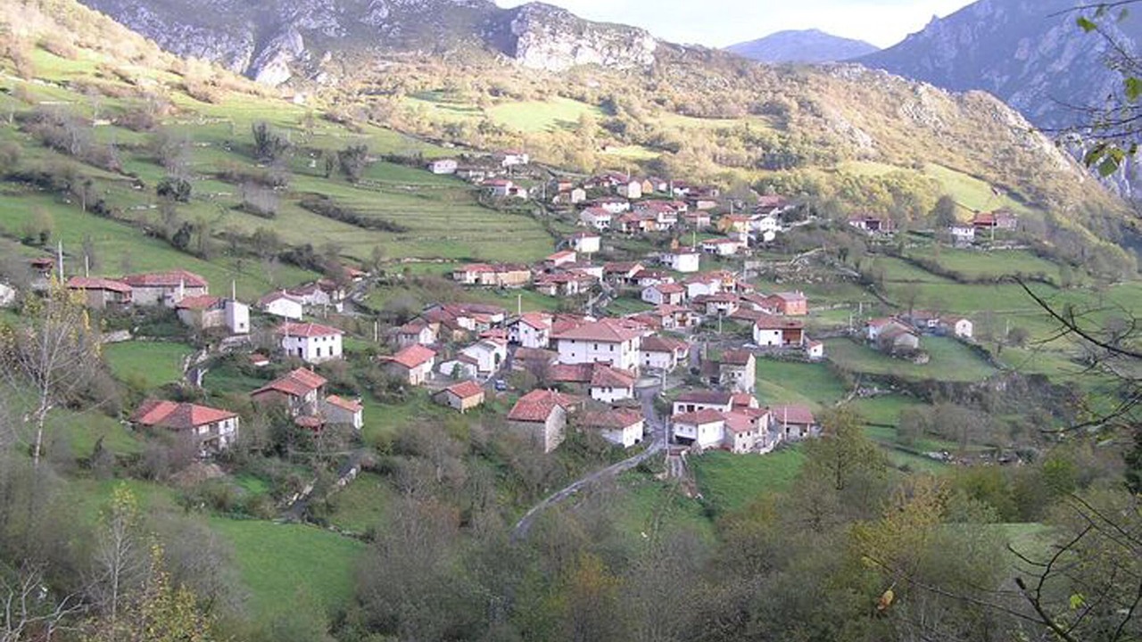 Photo of Outdoor in Ponga