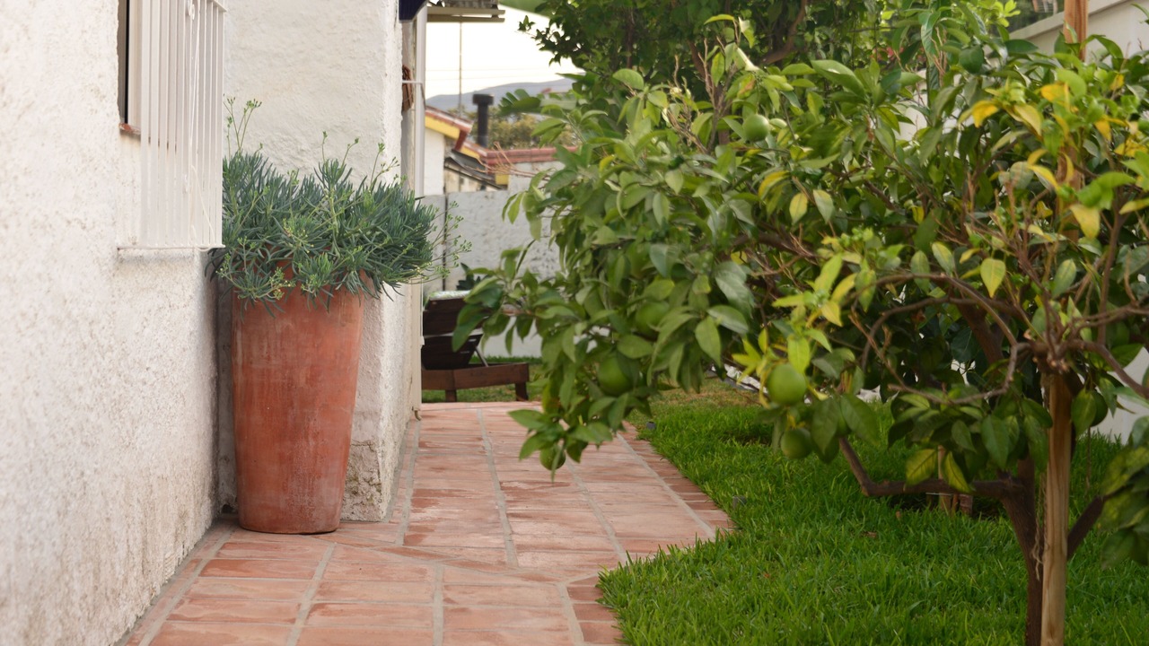 Photo of Outdoor in Churriana