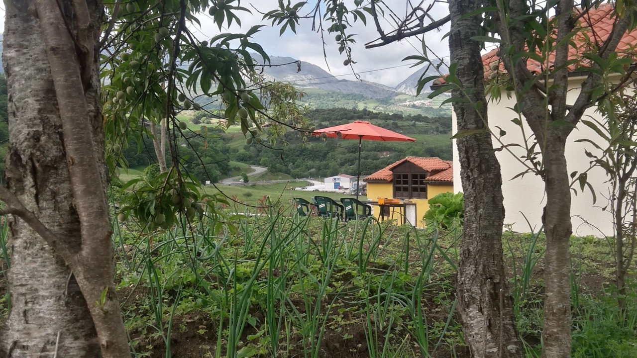 Photo of Outdoor in Panes