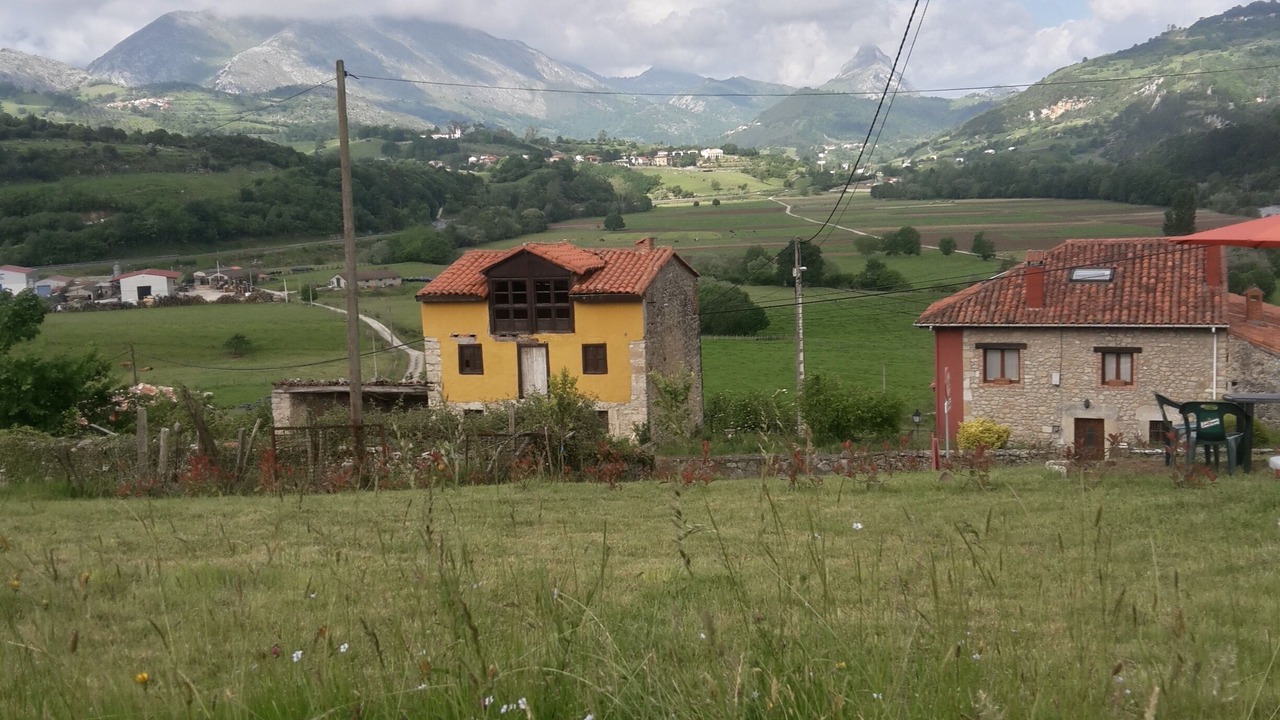 Photo of Outdoor in Panes