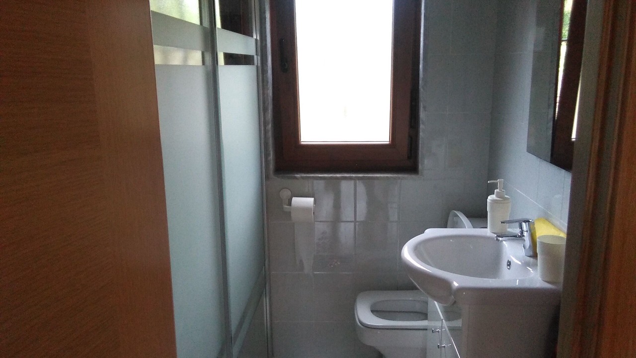 Photo of Bathroom in Panes