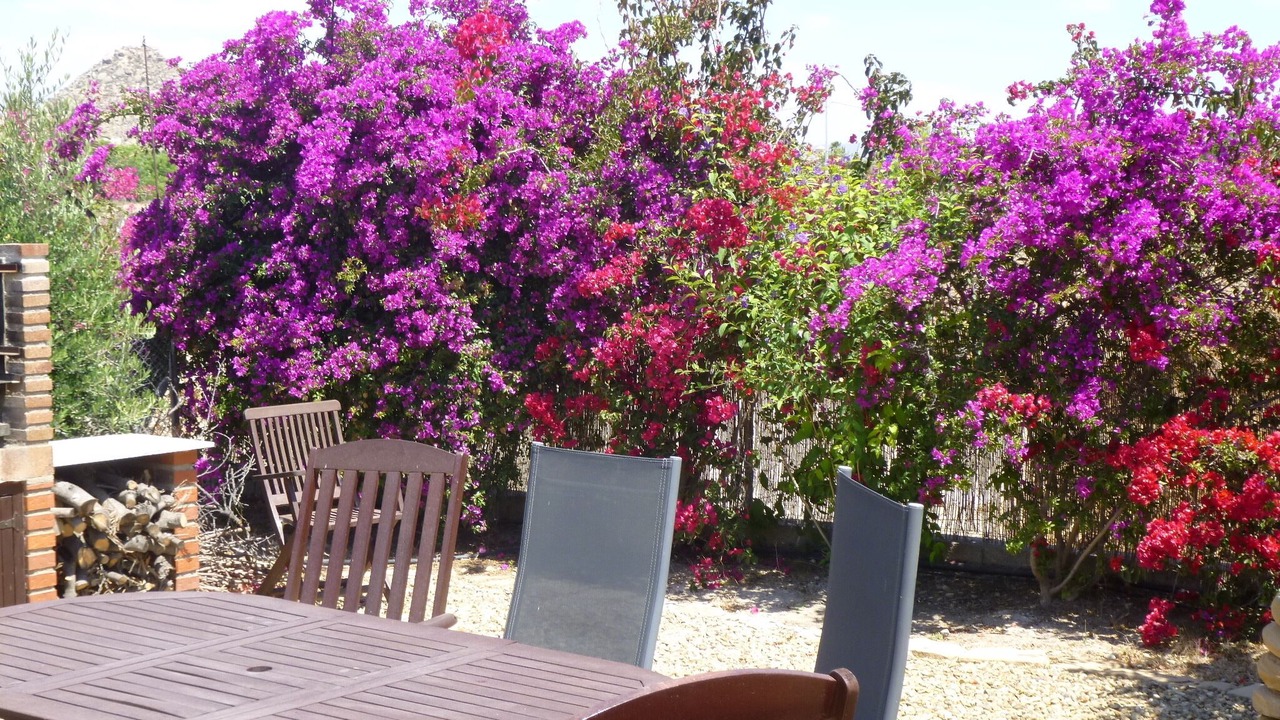 Photo of Outdoor in Vera