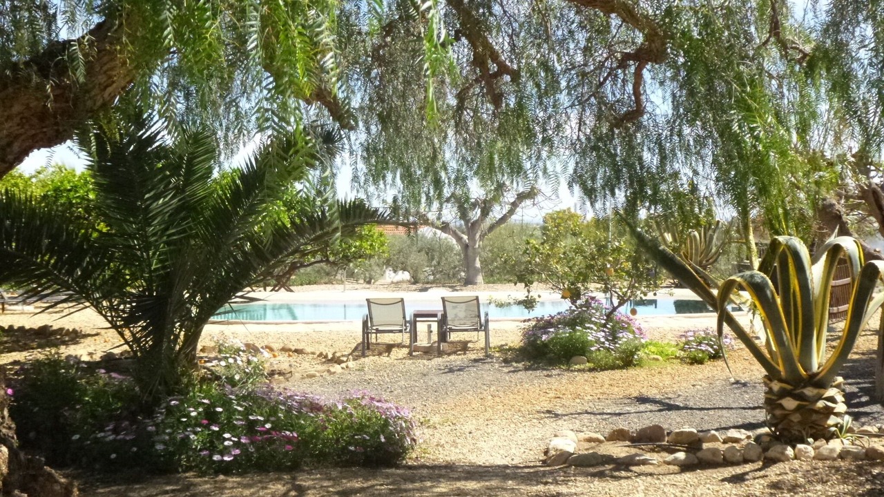 Photo of Outdoor in Vera