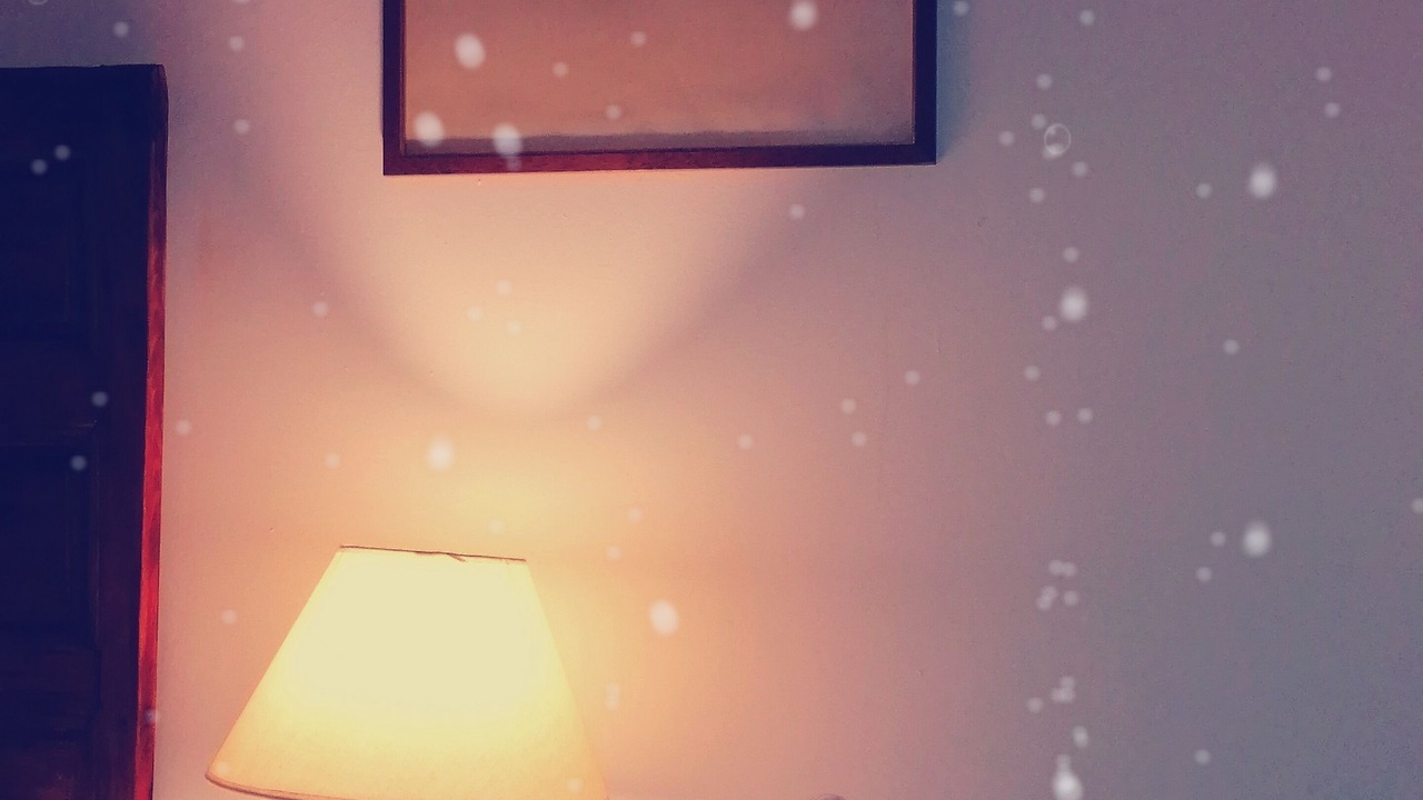 Photo of Bedroom in Tenzuela