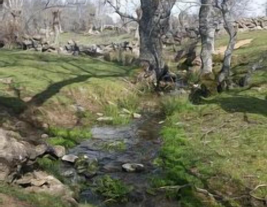 Photo of Outdoor in Tenzuela