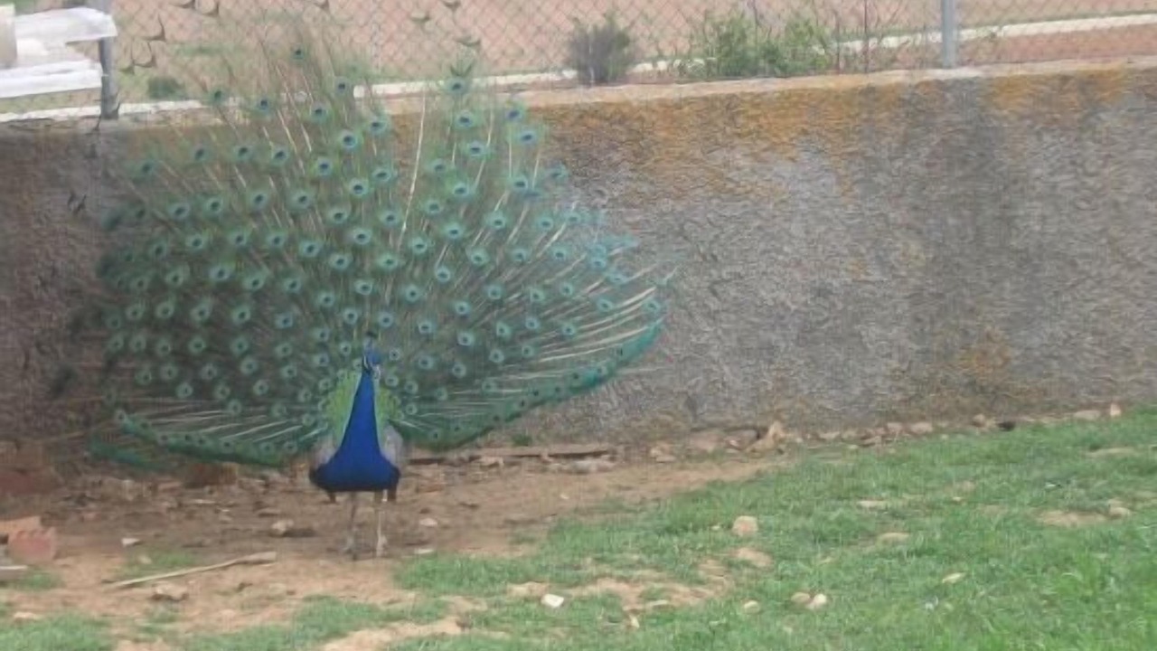 Photo of Outdoor in Turrubuelo
