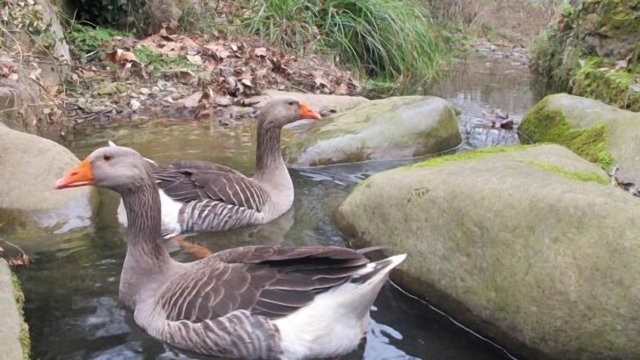 Photo of Outdoor in Sant Marti Vell