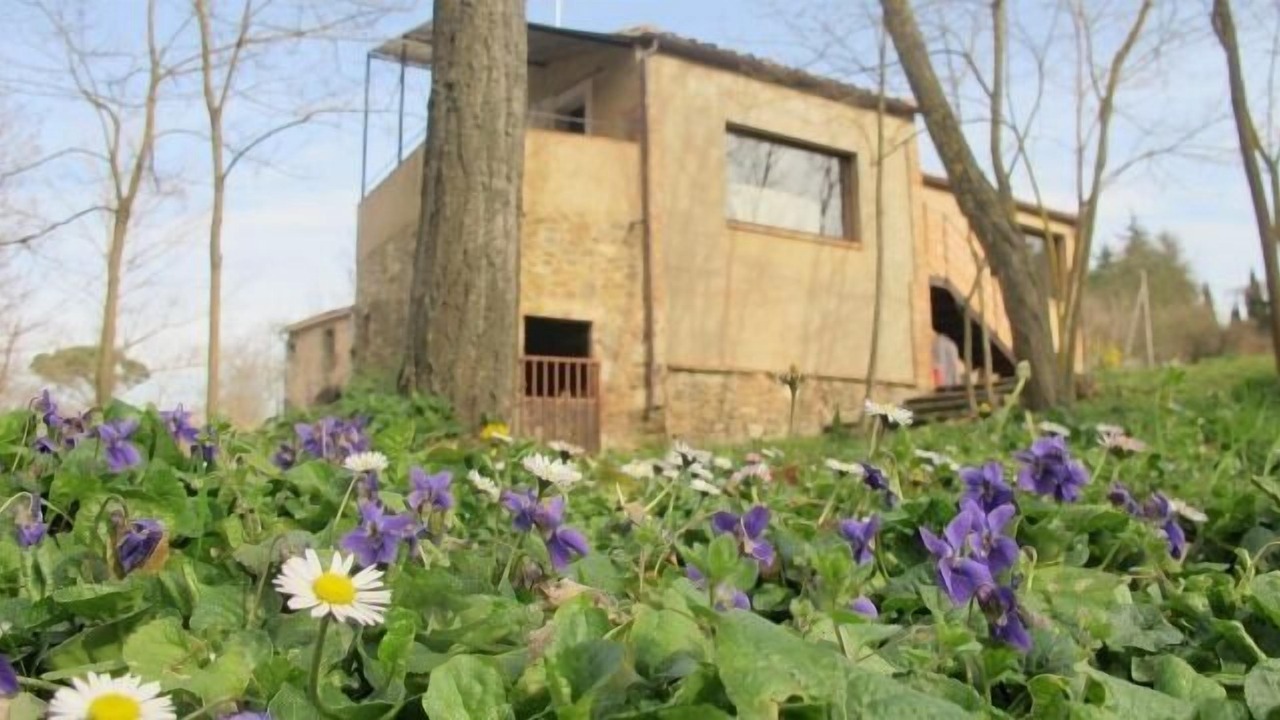 Photo of Outdoor in Sant Marti Vell