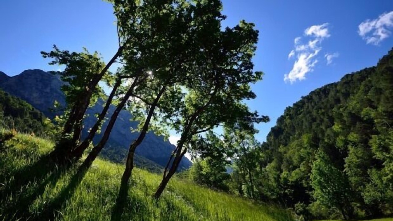 Photo of Outdoor in Badain