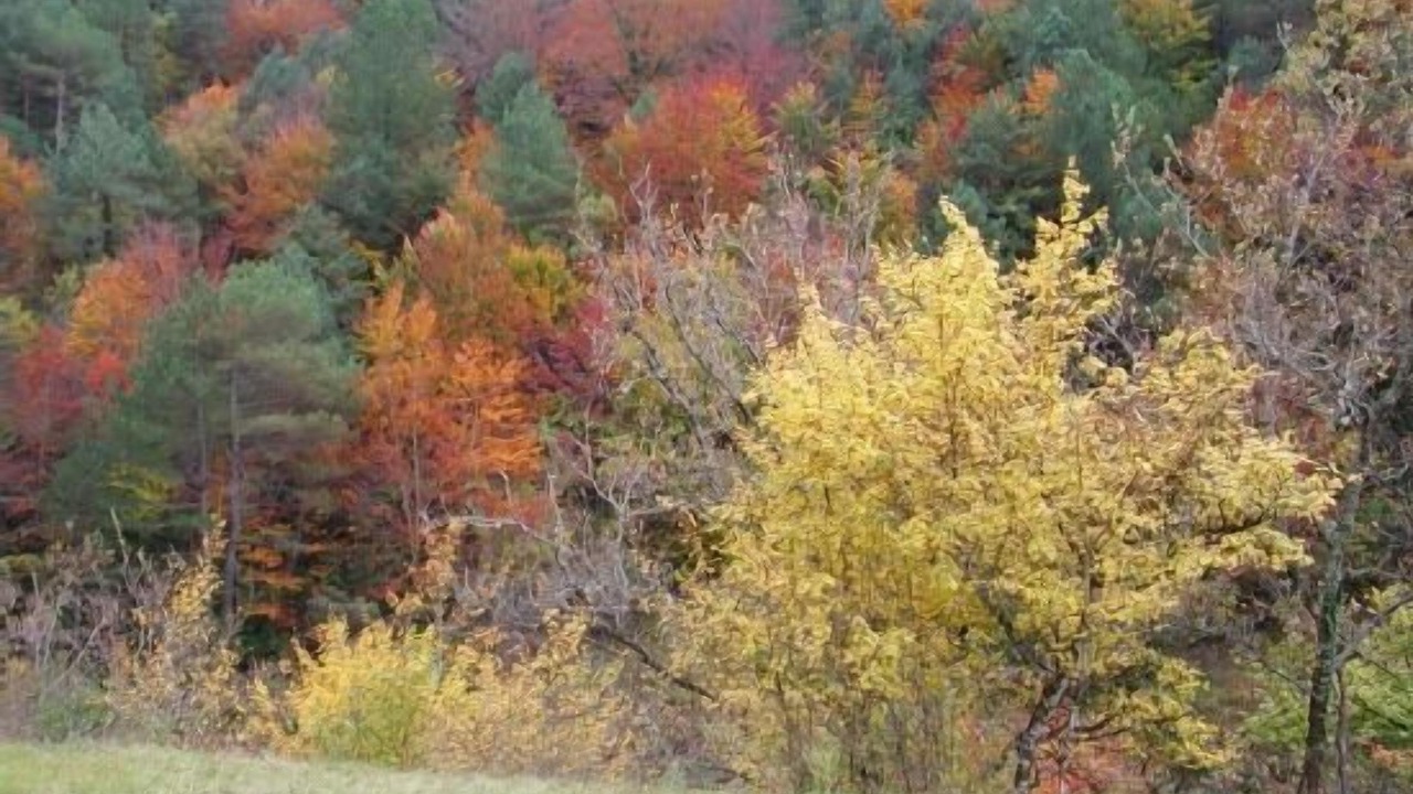 Photo of Outdoor in Badain