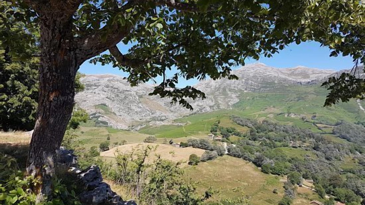 Photo of Outdoor in Quiros