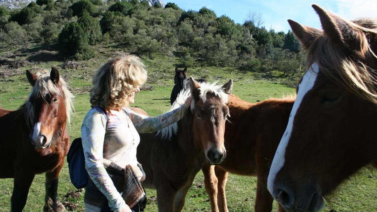 Photo of Others in Quiros