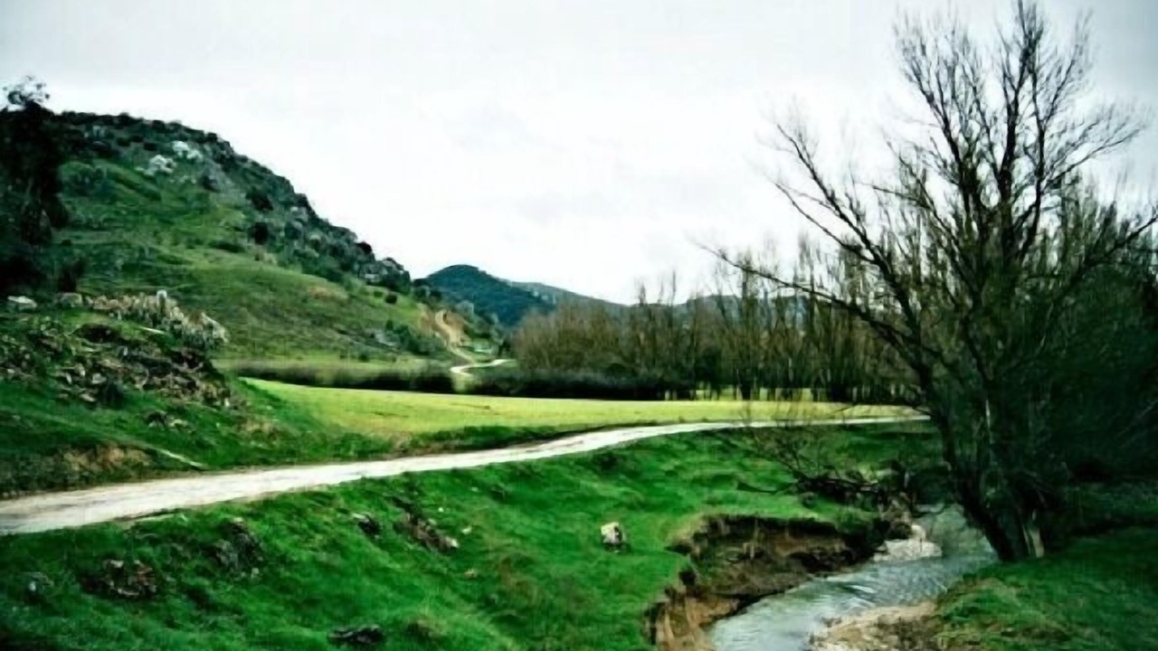 Photo of Others in Alcala la Real
