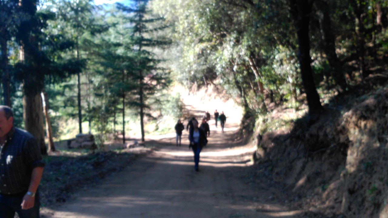Photo of Outdoor in Arbucies
