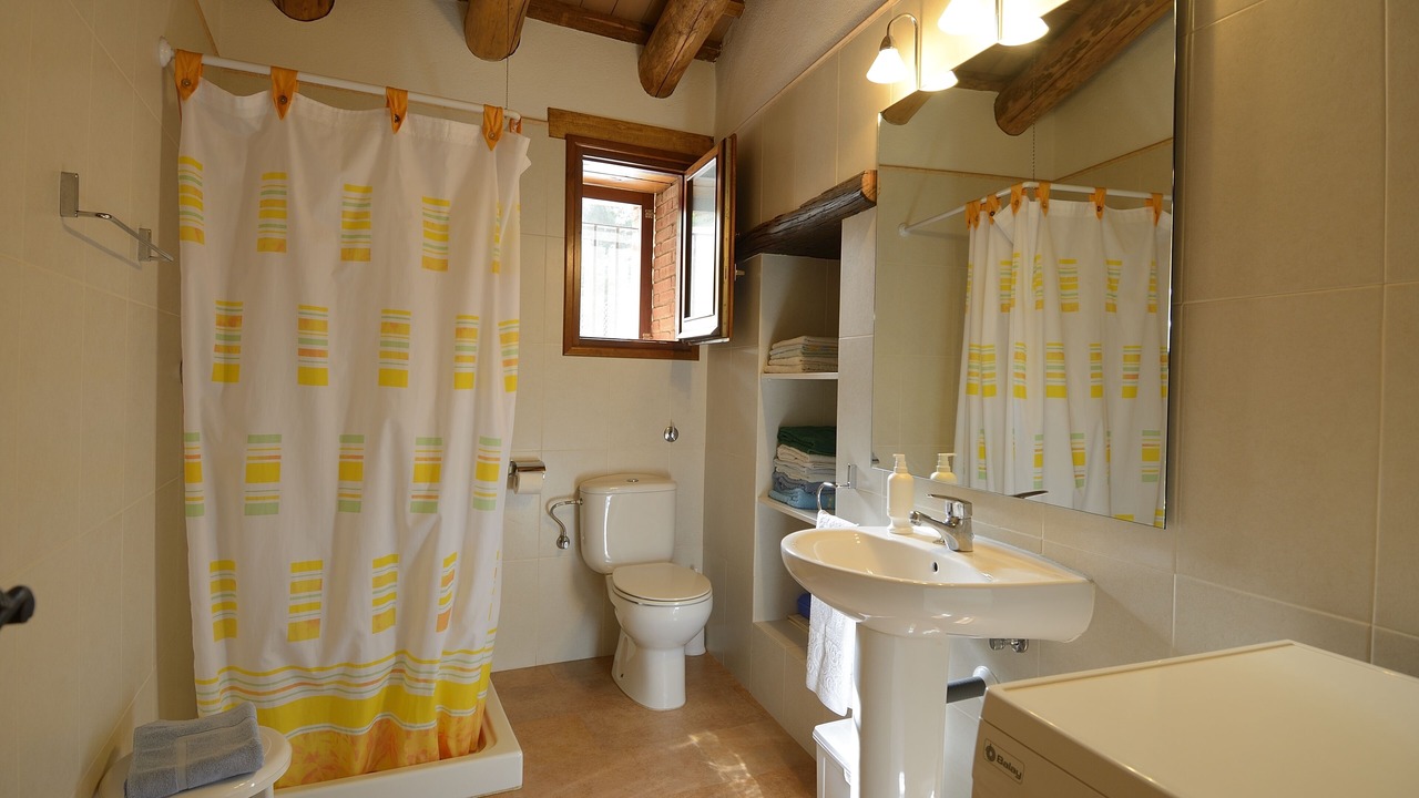 Photo of Bathroom in Arbucies