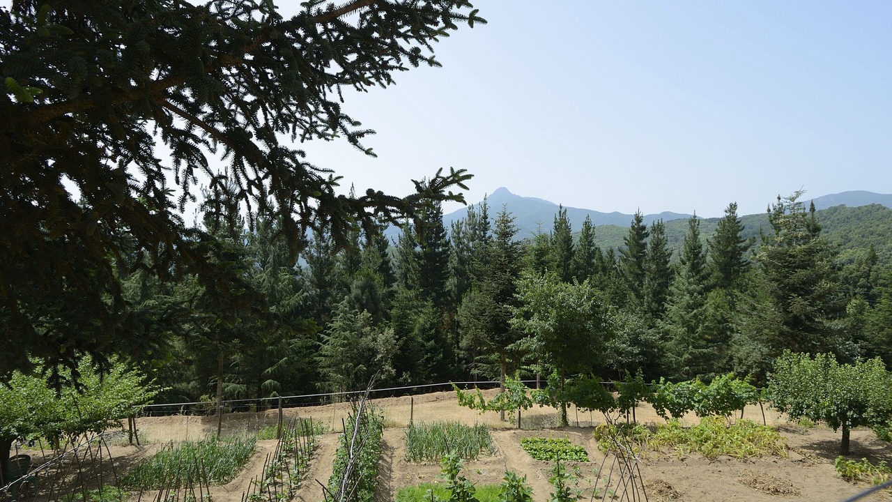 Photo of Outdoor in Arbucies