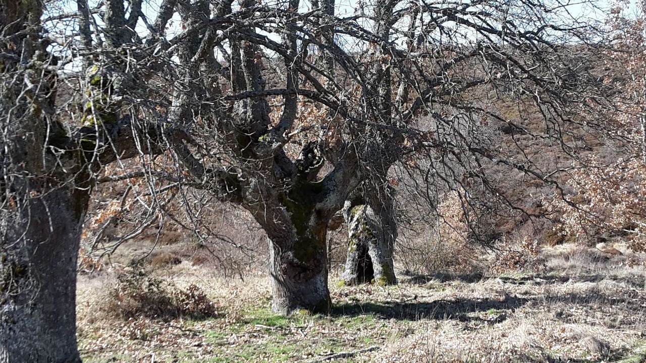 Photo of Outdoor in Mozoncillo de Juarros
