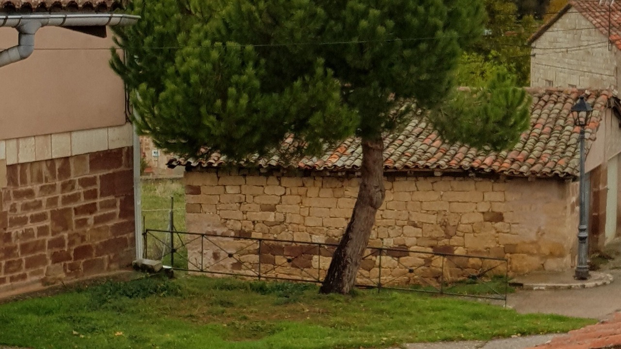 Photo of Outdoor in Mozoncillo de Juarros