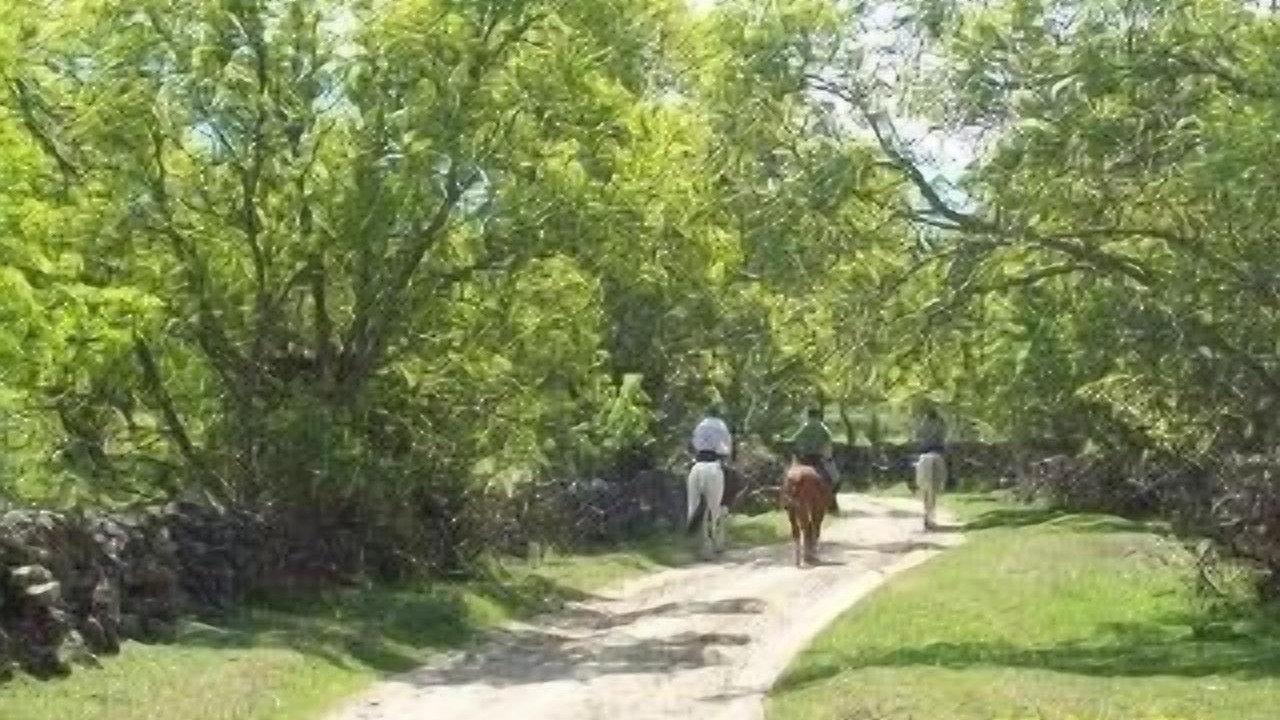 Photo of Others in Ortigosa del Monte