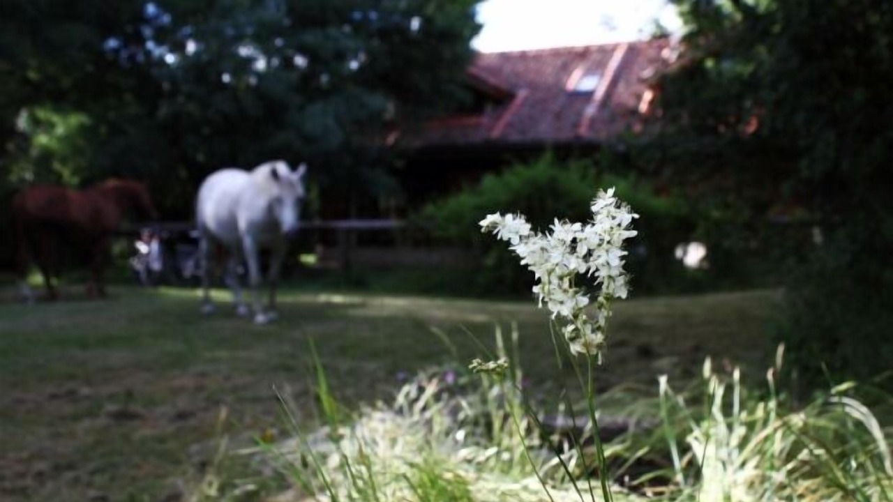 Photo of Outdoor in Ortigosa del Monte