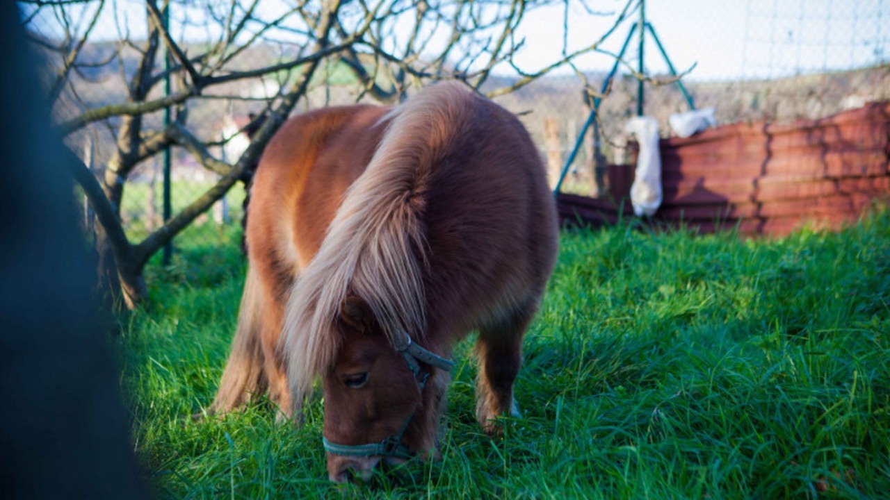 Photo of Outdoor in Zubieta