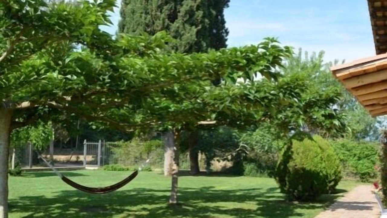 Photo of Outdoor in Vilobi d'Onyar