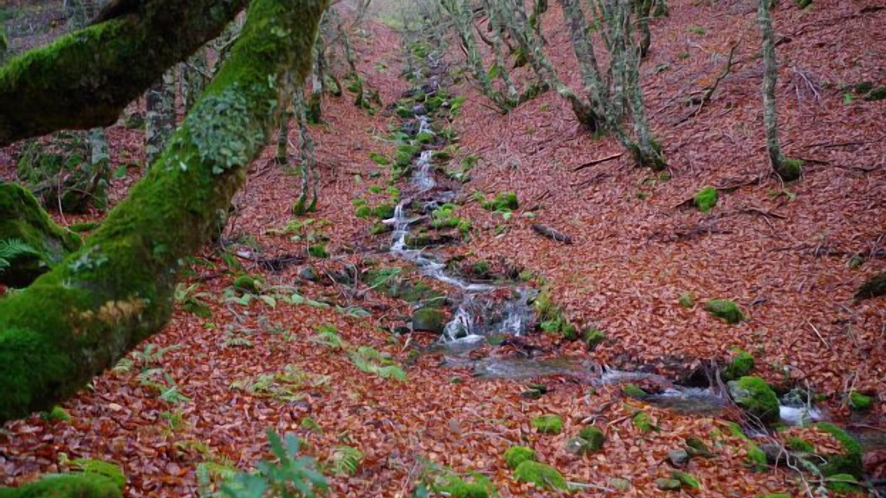 Photo of Outdoor in Vegacerneja