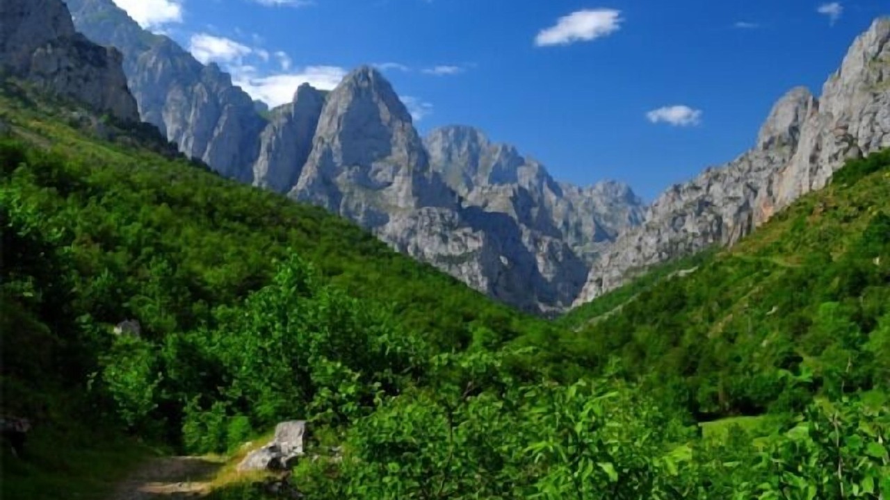 Photo of Outdoor in Vegacerneja