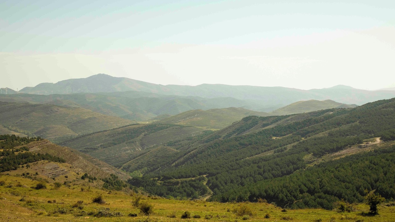 Photo of Outdoor in Poyales