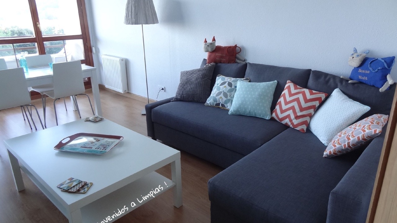 Photo of Livingroom in Limpias