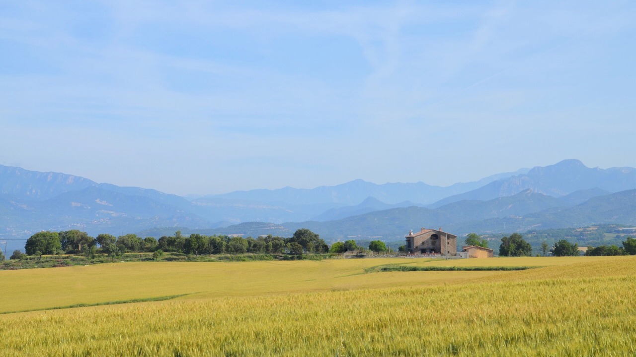 Photo of Outdoor in Sagas