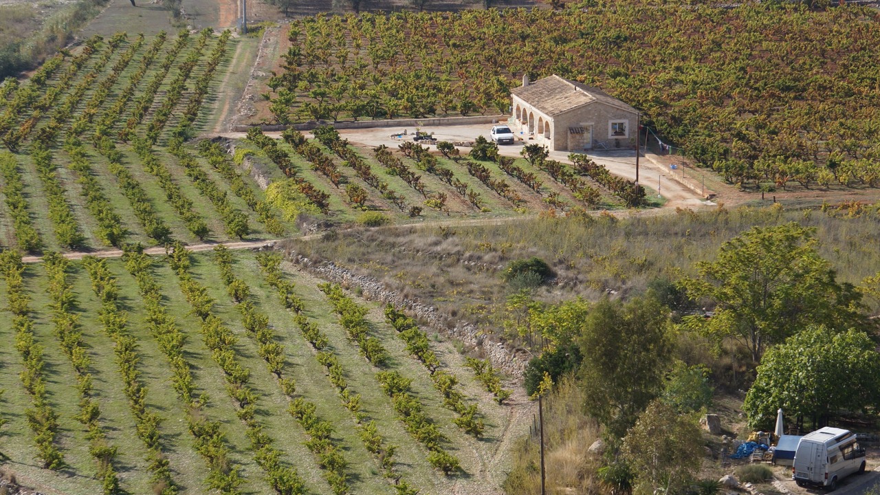 Photo of Others in Lliber