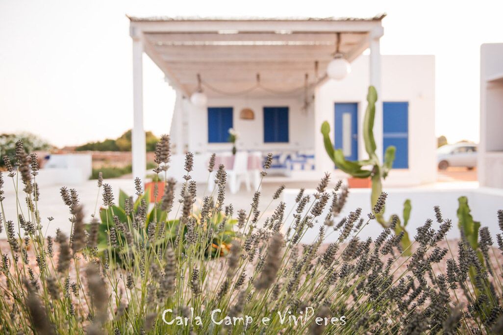Photo of Outdoor in Formentera