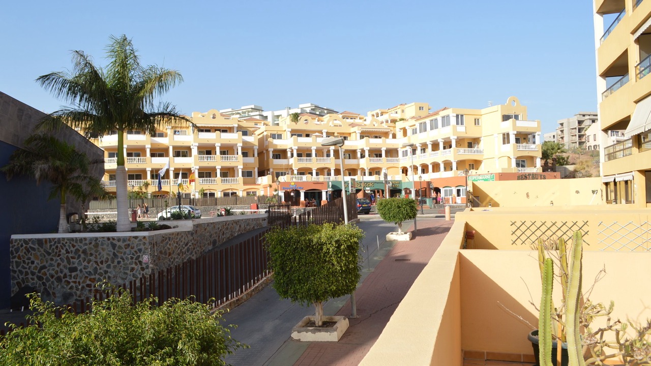 Photo of Others in San Miguel de Abona