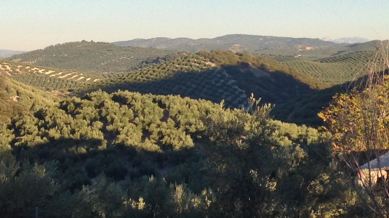 Photo of Outdoor in Montefrio