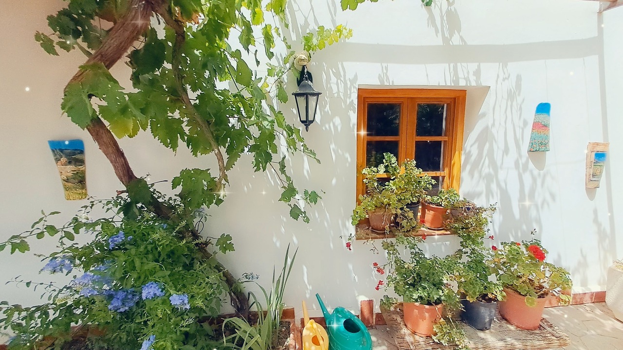 Photo of Outdoor in Montefrio