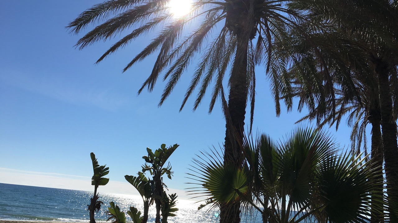 Photo of Others in Mijas