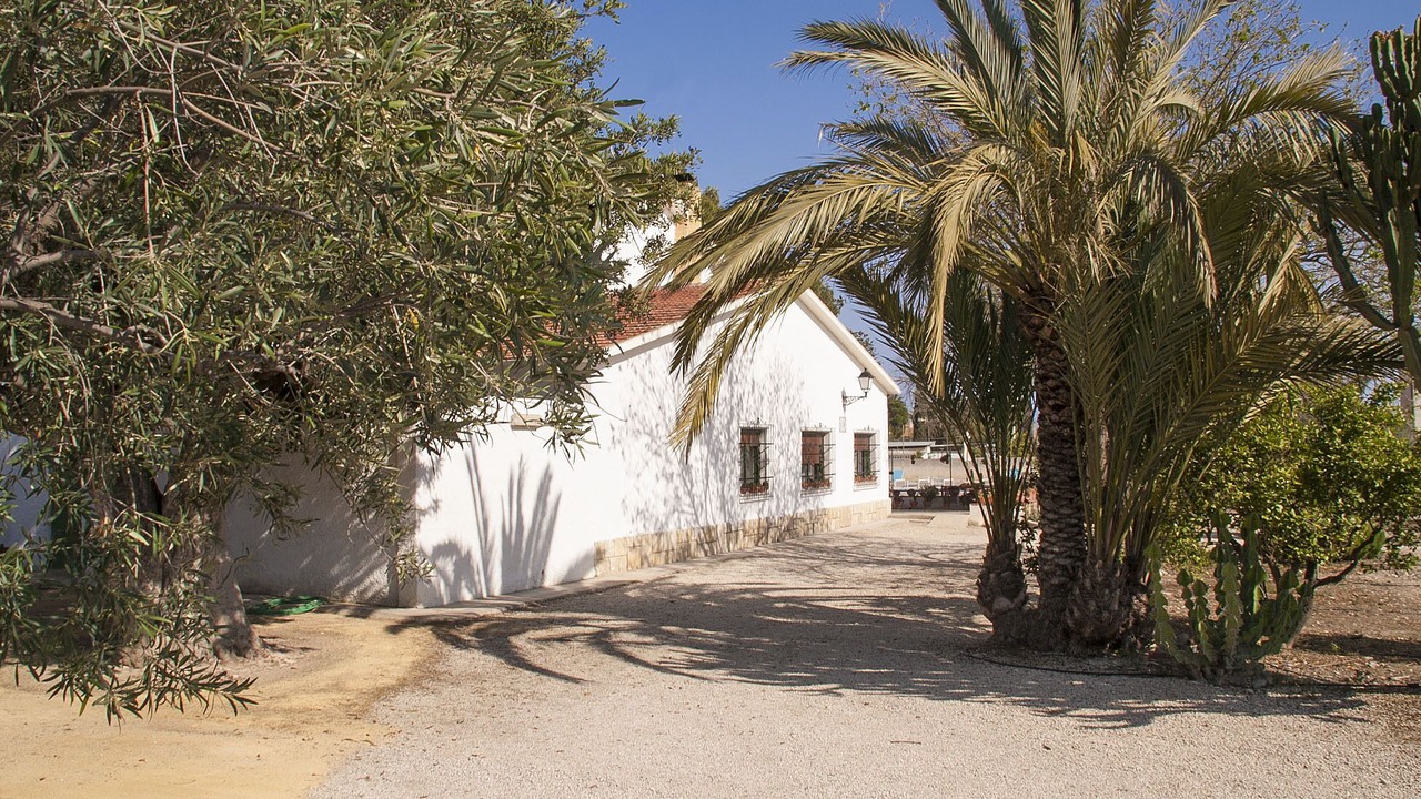Photo of Others in San Juan de Alicante
