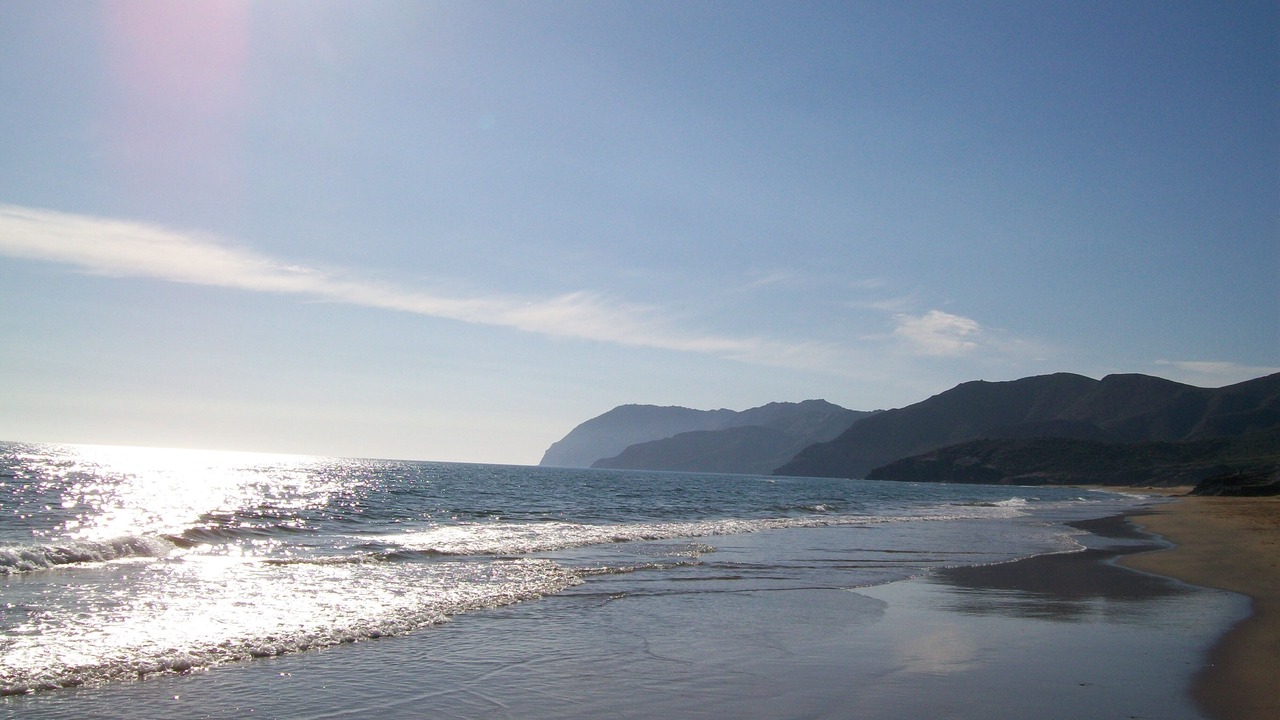 Photo of Others in Playa Flamenca