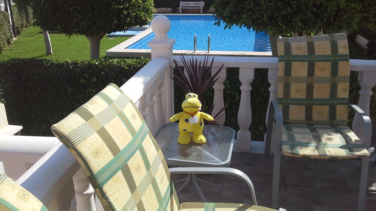 Photo of Outdoor in Playa Flamenca